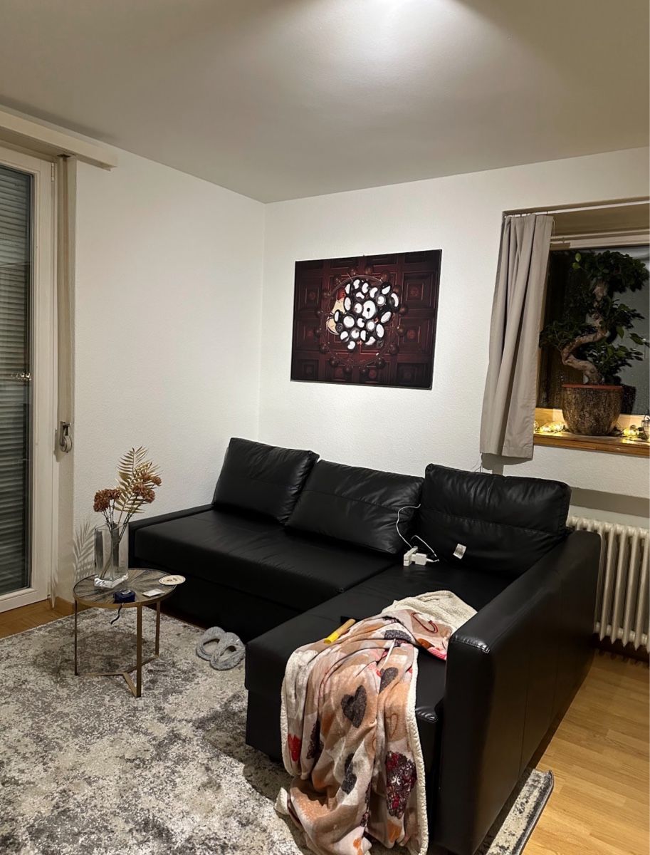 Sofas: FRIHETEN black couch - bed/container – D'occasion à Zürich par Ale_7khj 2