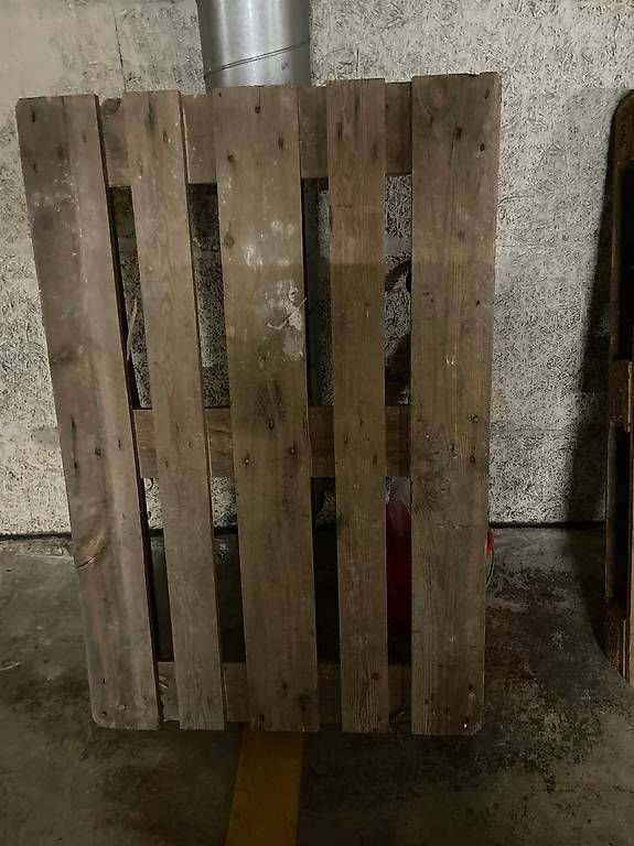 Pallets: 2 Europaletten – Usato da Wil SG venduto da Fasciatus09 1