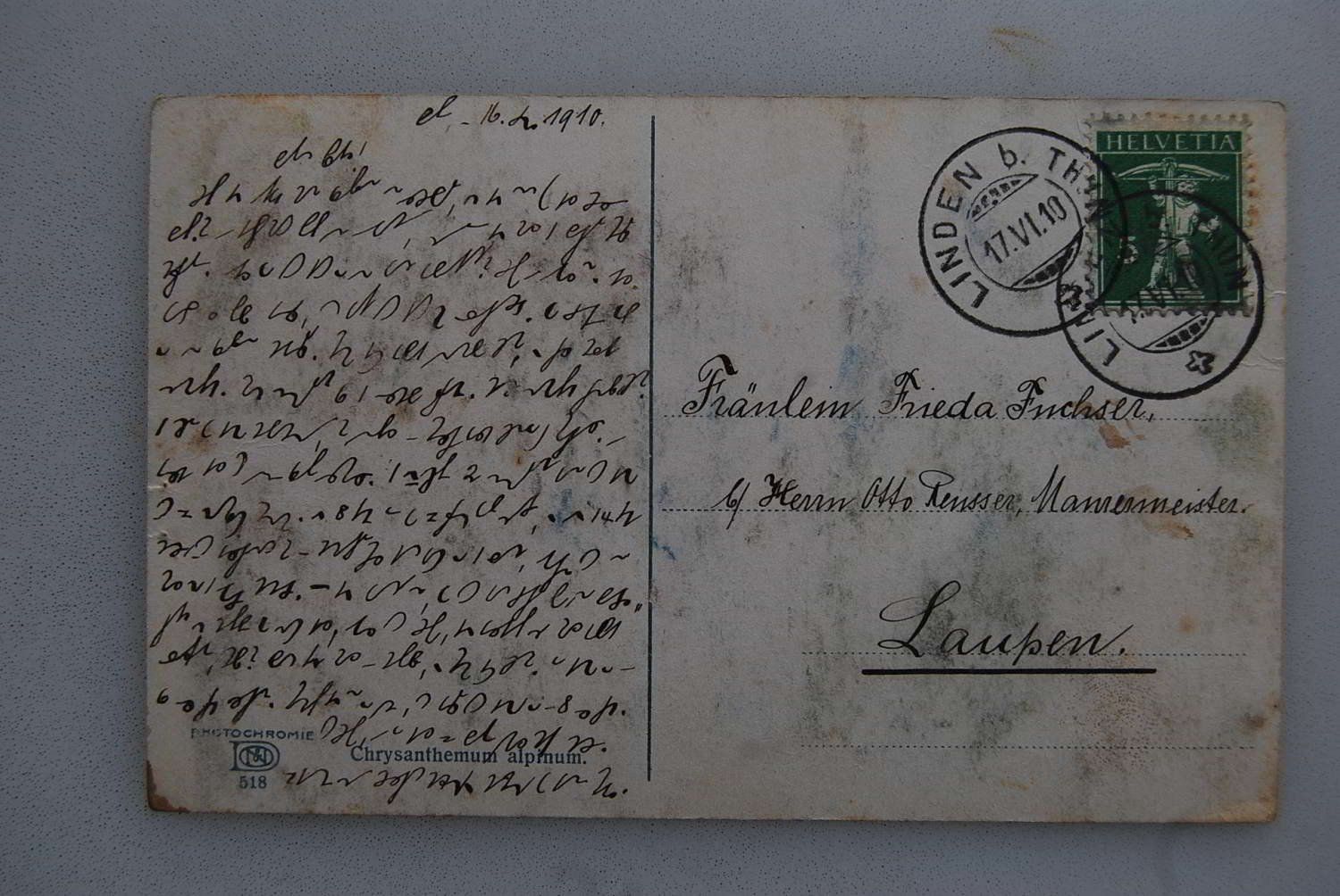 Cartes postales: AK Chrysanthemum Alpinum 1910 – D'occasion à Rüfenacht BE par Toro06 1