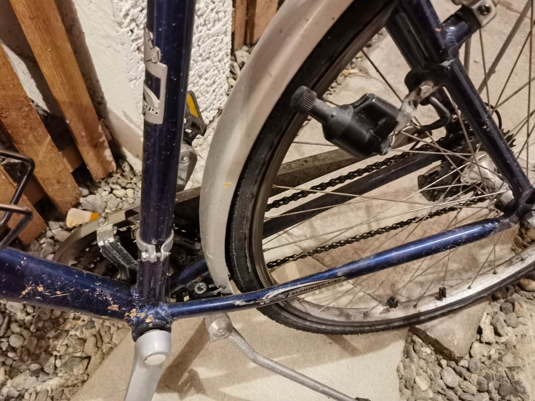 Biciclette: Pegasus bicycle velo – Usato da Zürich venduto da llr_2m9v 2