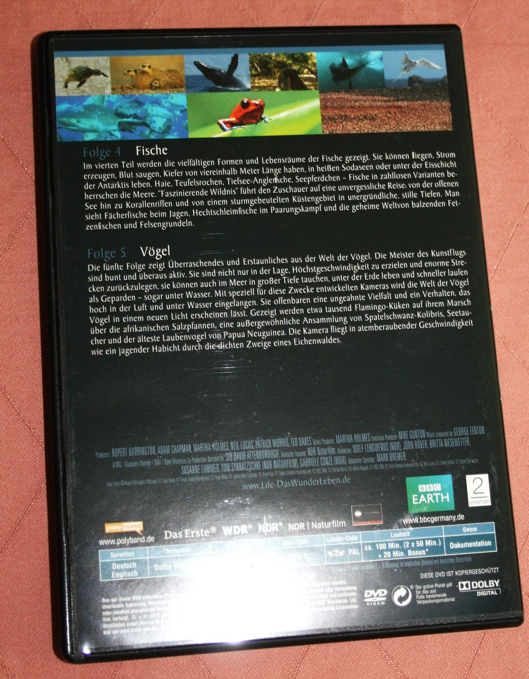 Tutti i DVDs: DVD Das Wunder Leben (6) – Nuovo (secondo la descrizione) da Flüelen venduto da Rosegarden 6