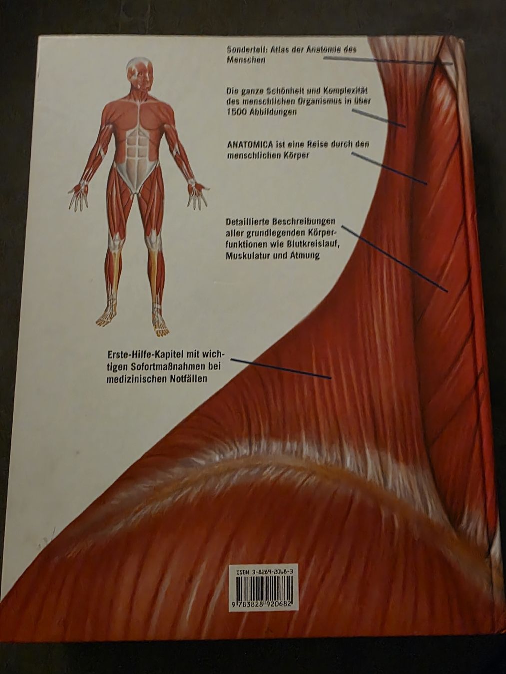 Libri: Anatomica 912 Seiten!!! – Usato da Dietlikon venduto da Audipower1981 2