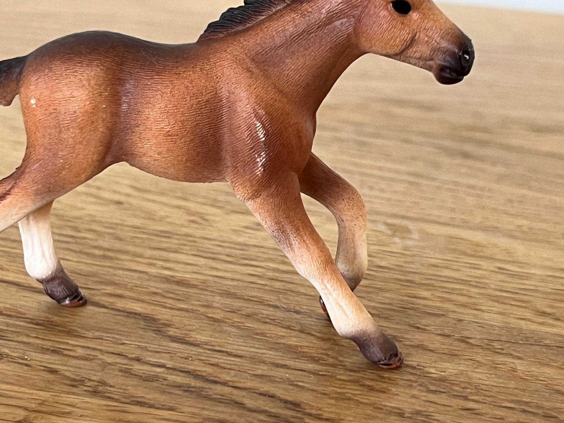 Schleich Statuette: Mustang Fohlen 13807 Schleich – Usato da Ennetbaden venduto da mapa05 6