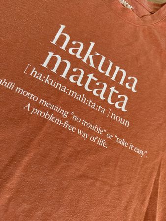 T-Shirt Nanok Hakuna Matata orange 🧡Grösse M gebraucht