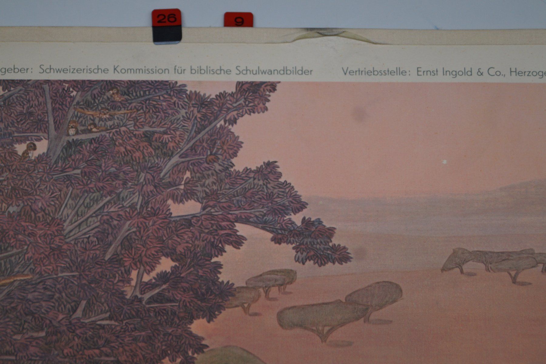Posters & Illustrations: Schulwandbild Nummer 21 B: Philippus und der Kämmerer – D'occasion à Härkingen par sammelbecken 4