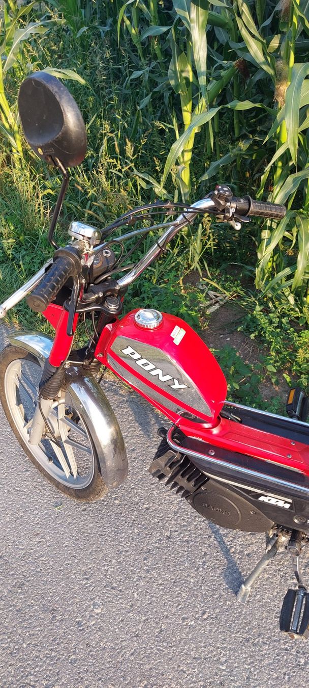 Pony Mofas: Mofa Pony – Gebraucht aus Giswil von Stocki02 1