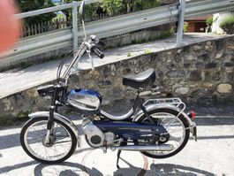 Belmondo