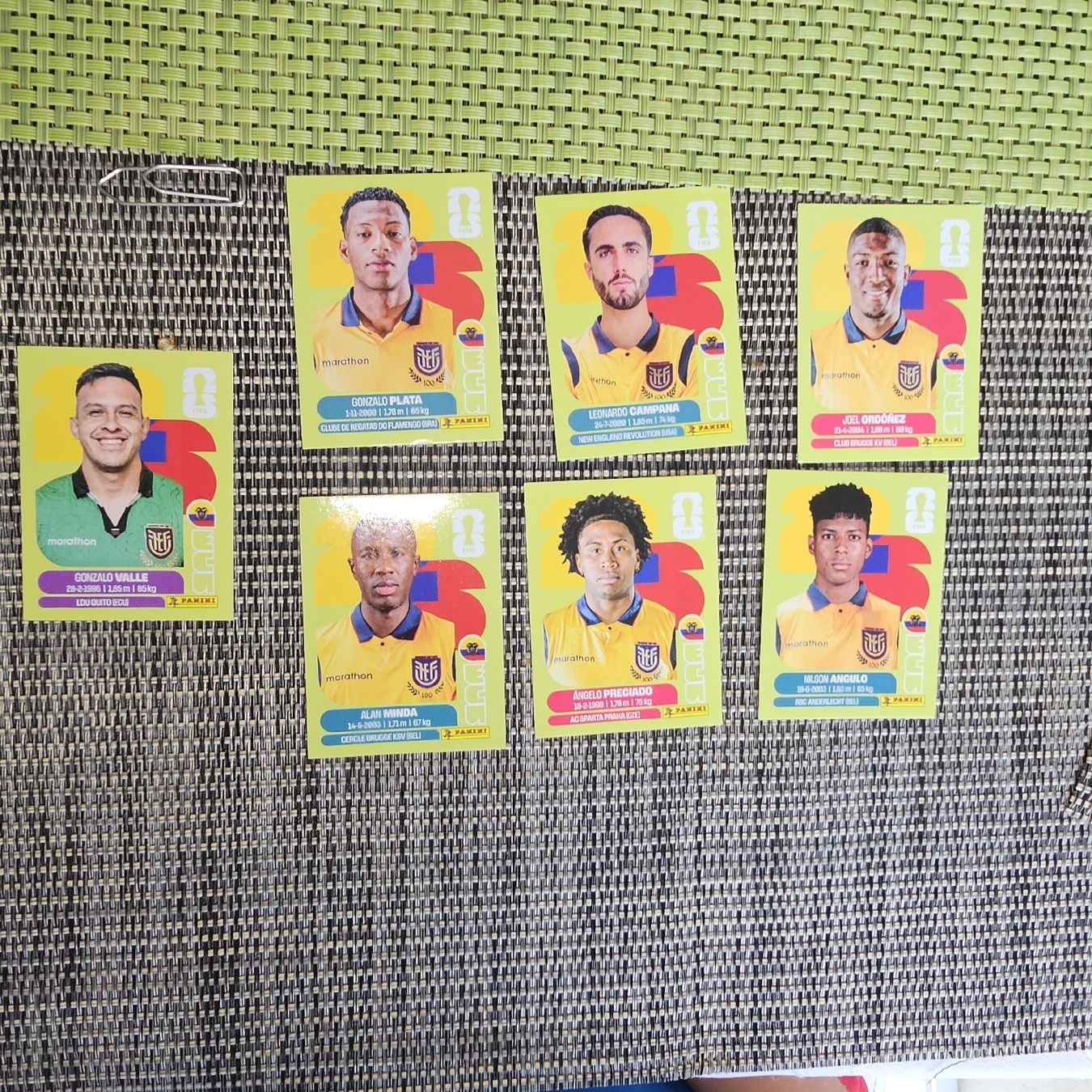 Panini Sammelbilder & Trading cards: Panini – Neu (gemäss Beschreibung) aus Plan les ouates von Braun_charly