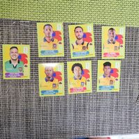 Panini