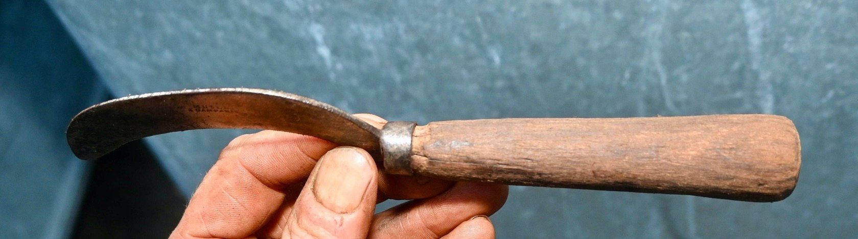 Tutti gli attrezzi: ANTIKE Handsichel Länge ca. 22cm - MUTEL À DAMPARIS – Usato da Pfaffhausen venduto da mono_rec 7
