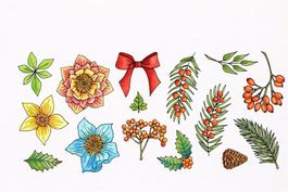 Neues Set Motivstempel  winterliche Pflanzen / Blumen