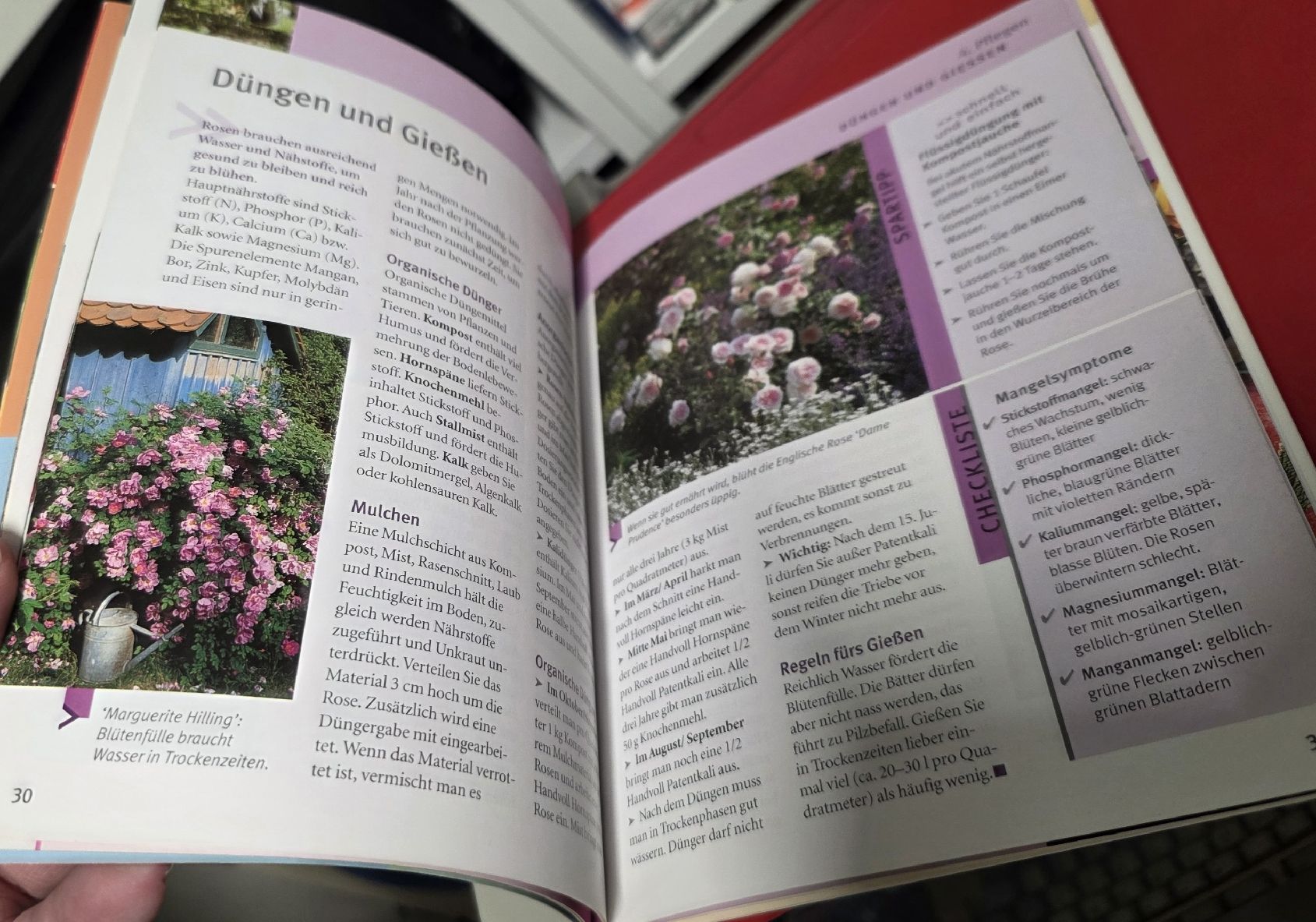 Bücher: Rosen - schnell & einfach - GU (BUCH) – Gebraucht aus Reinach BL von _MasterK_ 5