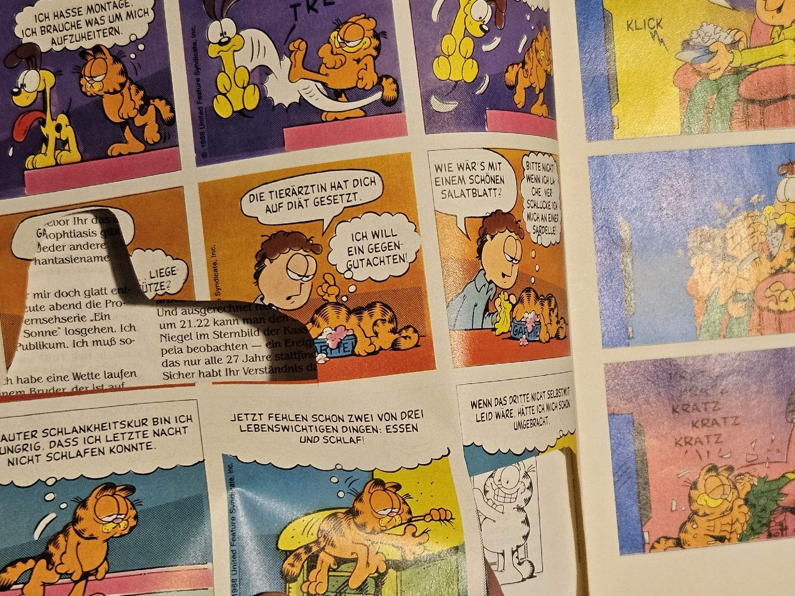 Fumetti: Garfield Comic-Heft Nr. 8/88, #WT18 – Usato da Oberdorf BL venduto da BaldenEagle 2