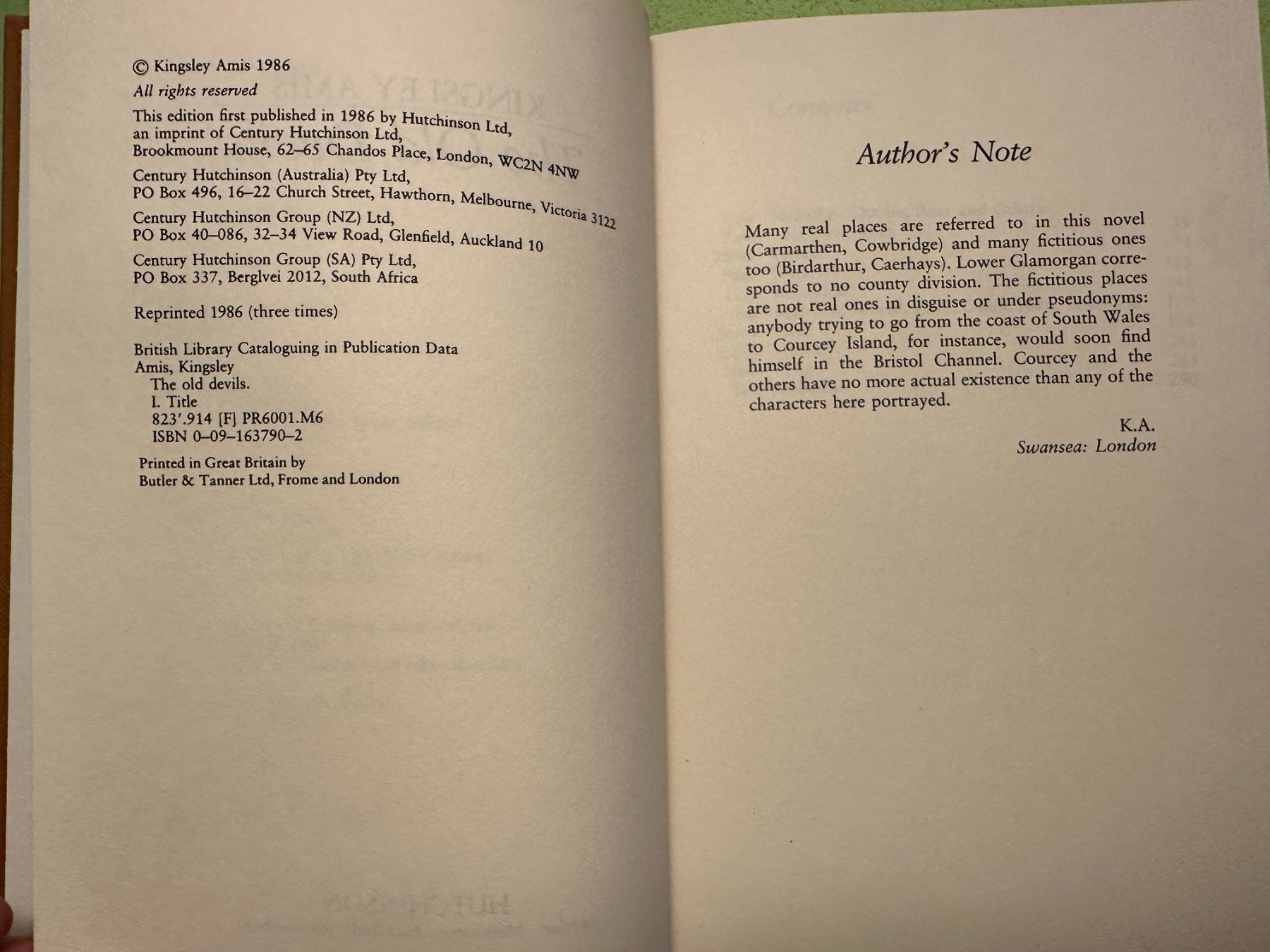 Libri: Kingsley Amis: The Old Devils – Usato da Zürich venduto da allp 3