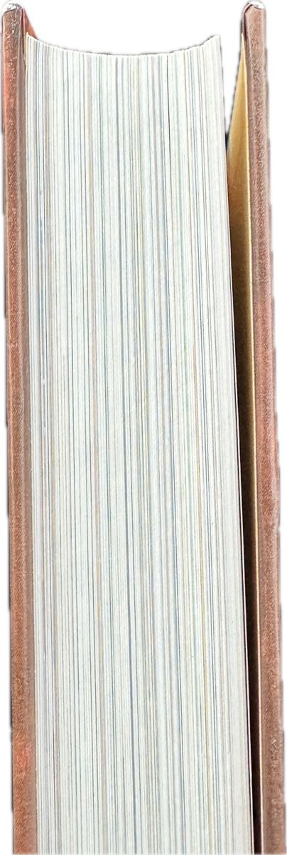 Libri: Ich bin bei euch: Don Bosco Kinderbibel – Usato da St. Gallen venduto da mai_2lcj 6