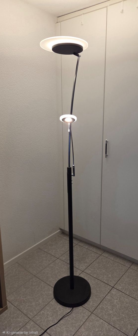 Lampes: Stehleuchte schwarz mit Leseleuchte – D'occasion à Auw par gian_dr_staibock