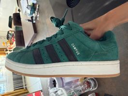 Adidas Campus Schuhe grün Grösse 38.5