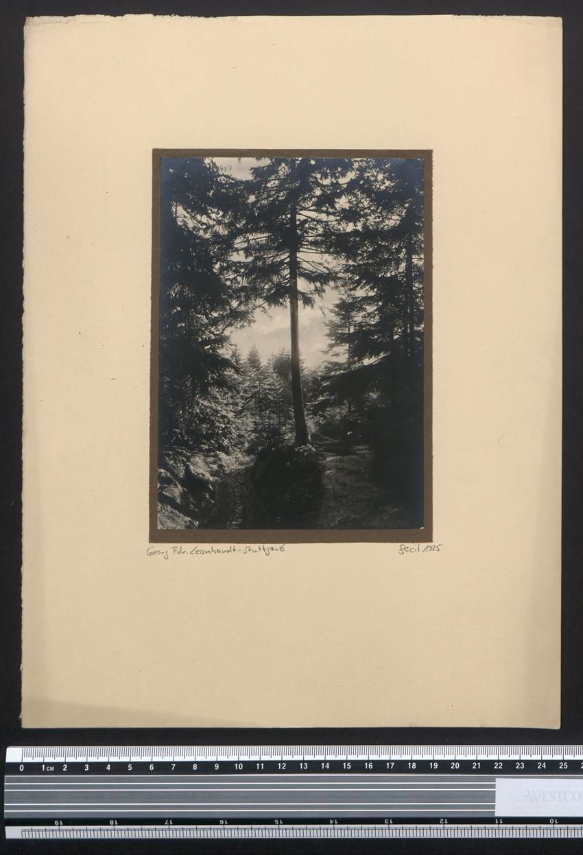 Fotografie & Manifesti: Fotografie Georg Friedrich Leonhardt, St – Usato da Berlin venduto da bartko-reher