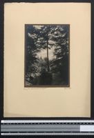 Fotografie Georg Friedrich Leonhardt, St