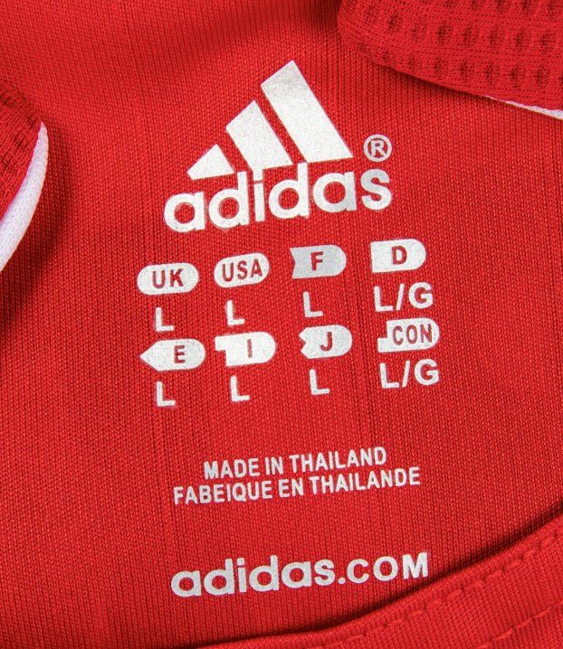 Fernando Torres Signed Jersey Beckett (Gebraucht) in La TourdePeilz — free download