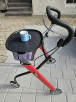 Rollator Trust Care in gutem Zustand
