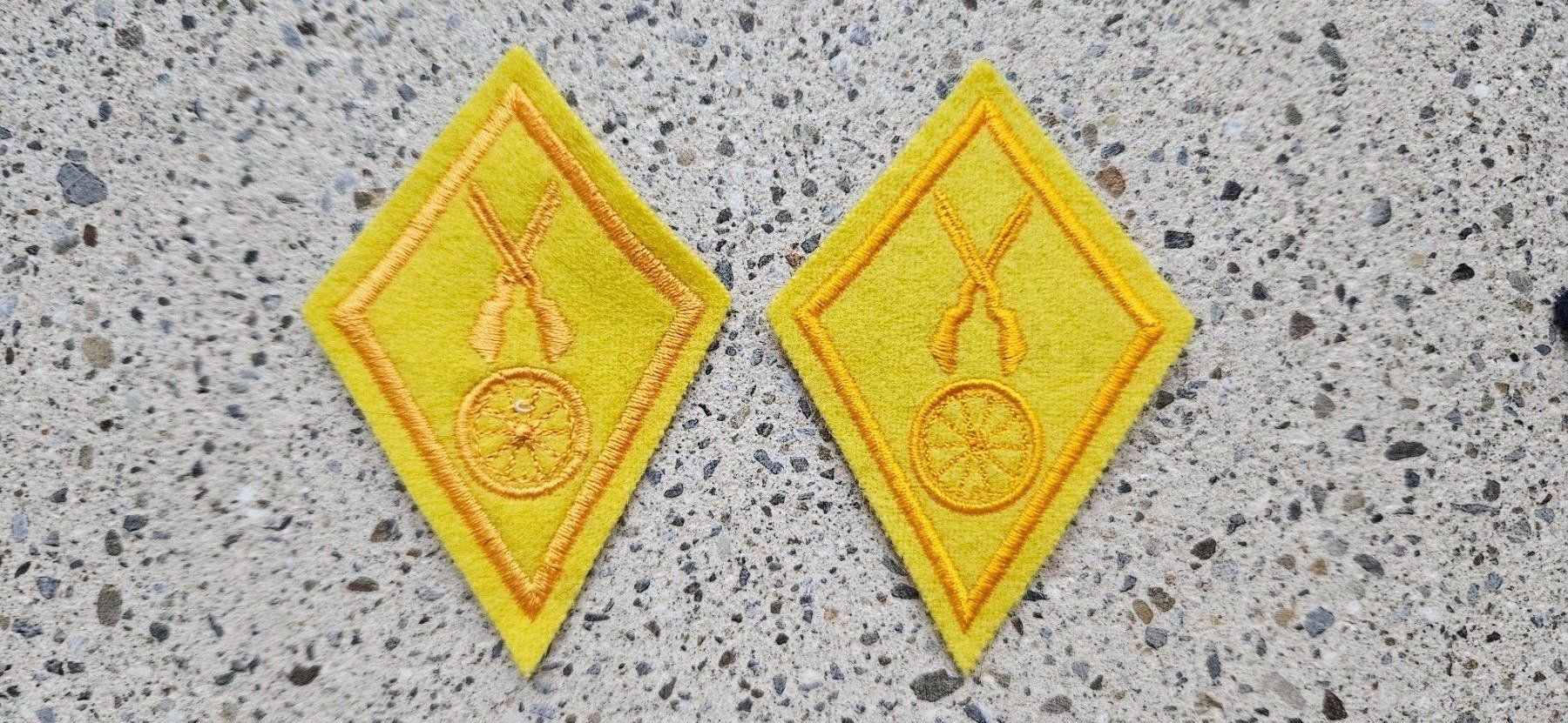Schweizer Armee Placchette & Badge: *** Kragenspiegel / Kragenpatten *** – Nuovo e nell'imballaggio originale da Riedholz venduto da fr_sIruP