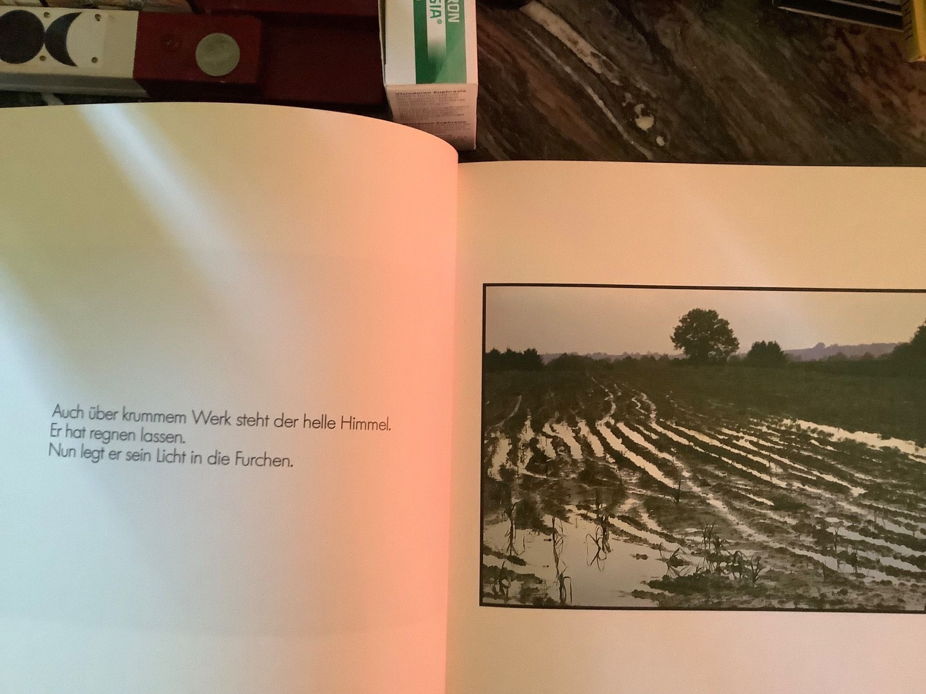 Libri: Wasserzeichen – Usato da Zürich venduto da Albatros57 2