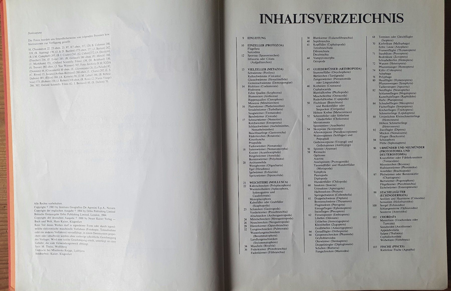 Libri: die grosse Enzyklopädie der Tierwelt – Usato da Zürich venduto da Vesco01 1