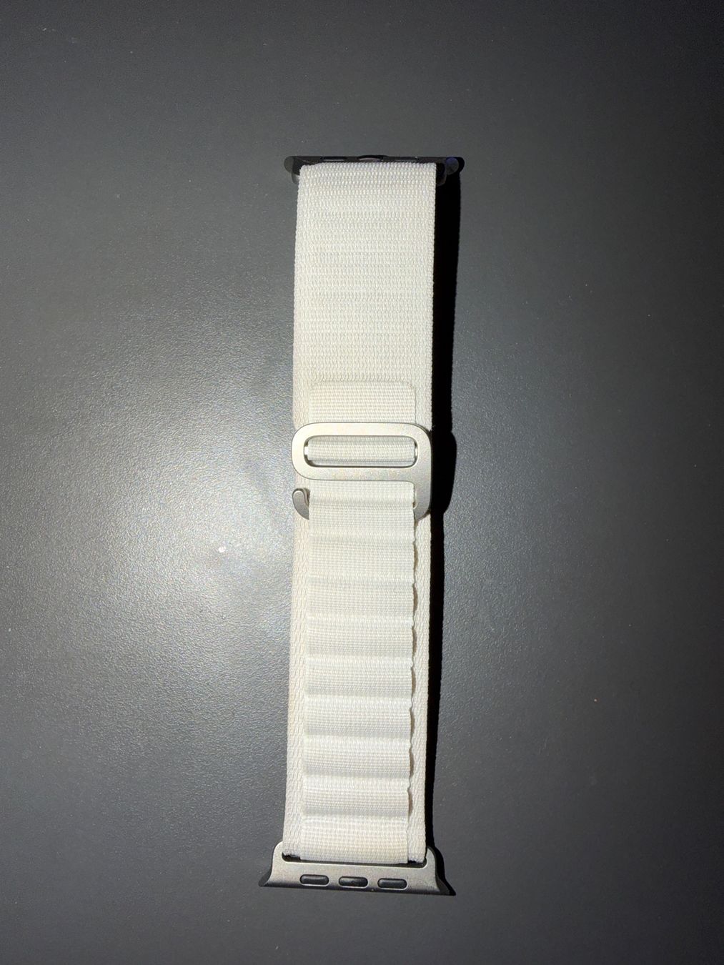 Apple Bracciali & Braccialetti: Apple Alpine Loop Polarstern – Usato da Emmenbrücke venduto da gazija_8