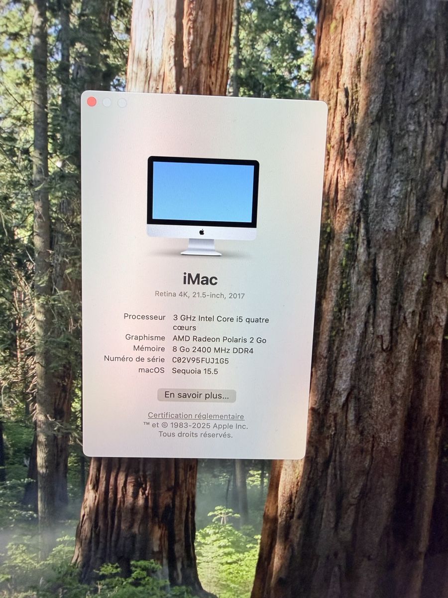 Apple PC: iMac 21.5 Mac séquoia 2017 4K  – Usato da Avenches venduto da kin_6tbp 2