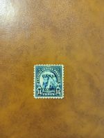 Timbre rare USA 14 cents - Chef Indien - Collection
