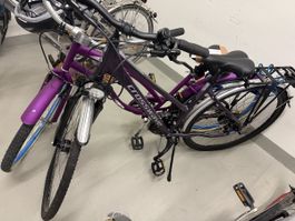 Crosswave Adventure Damenvelo 28 Zoll – Violett (Neuwertig!)