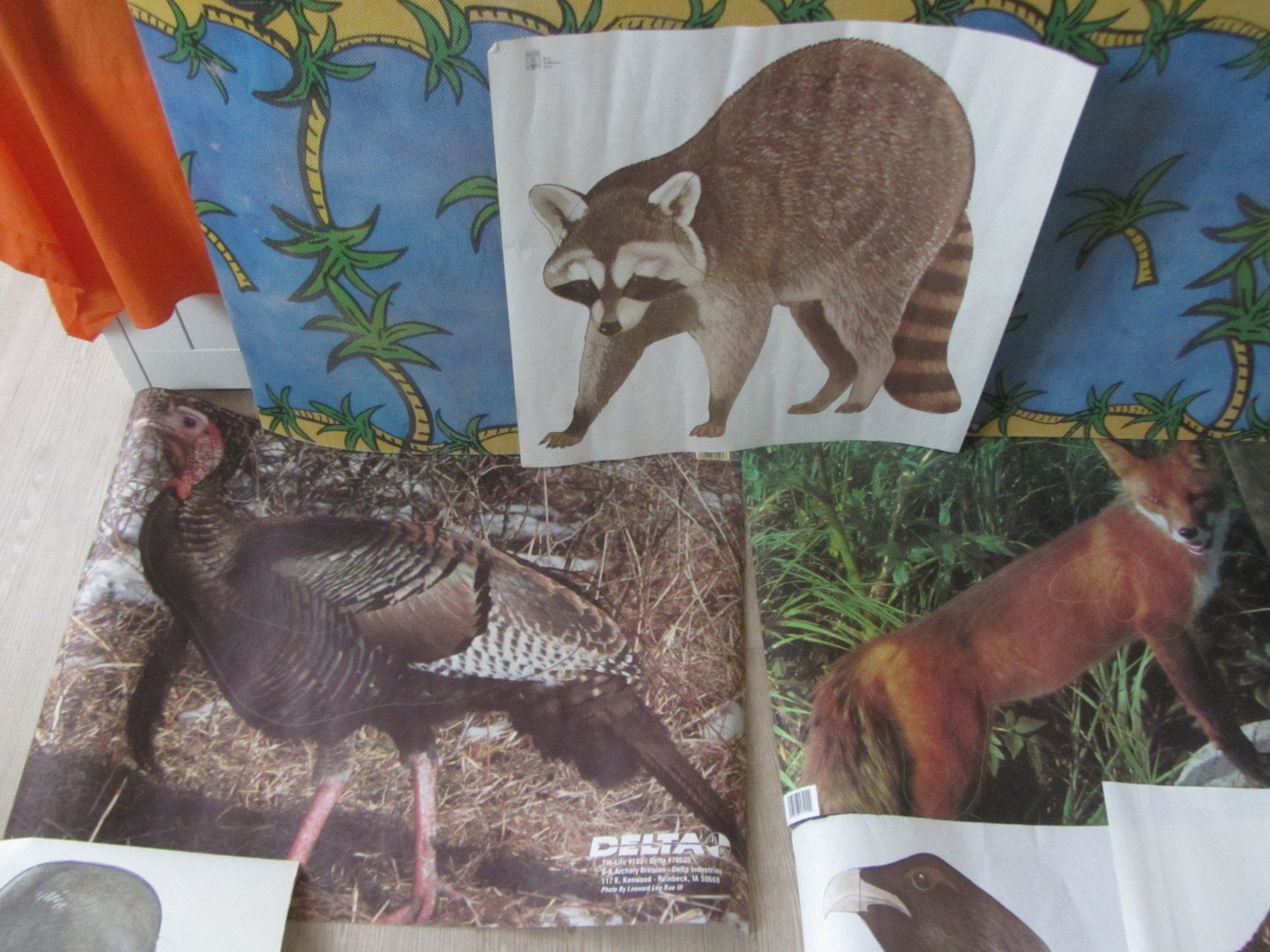 Bogenschiessen: Scheiben Auflagen Bogenschiessen Scheibenbild Diverse Tiere – Gebraucht aus Malters von moc_z8d9 1