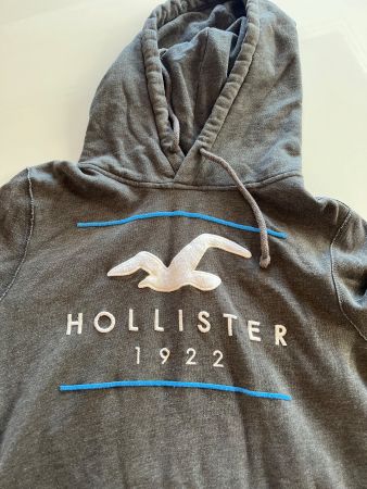 Hollister Gray Hoodie / Pullover
