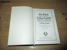 Bibel 1925, Illustriert, mit den Apokryphen
