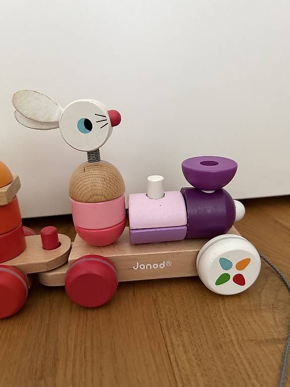Janod Giocattoli: Janod Zigolos Holzzug – Usato da Lüterkofen venduto da GiCa_ 3