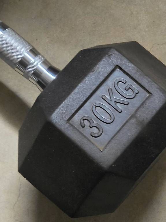 Manubri & Pesi: 2x30 Kg Dumbbell Hantel – Usato da Rombach venduto da whatasnow01 1