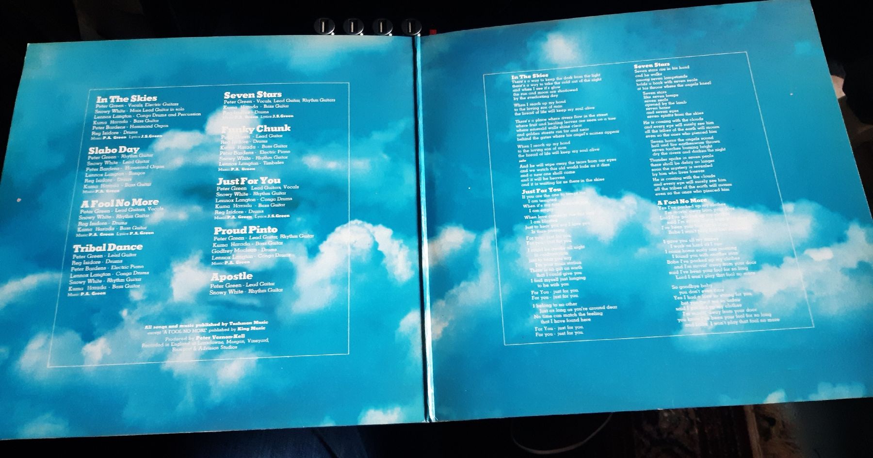 Dischi in vinile: PETER GREEN: In the Sky – Usato da Frick venduto da kyb_yq8h 1