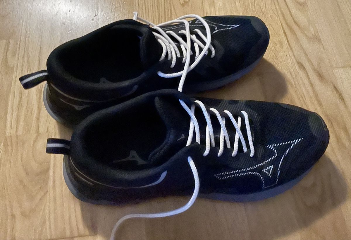 Mizuno Scarpe da uomo: Mizuno Laufschuhe GTX 45 – Usato da Bern venduto da pet_fry9