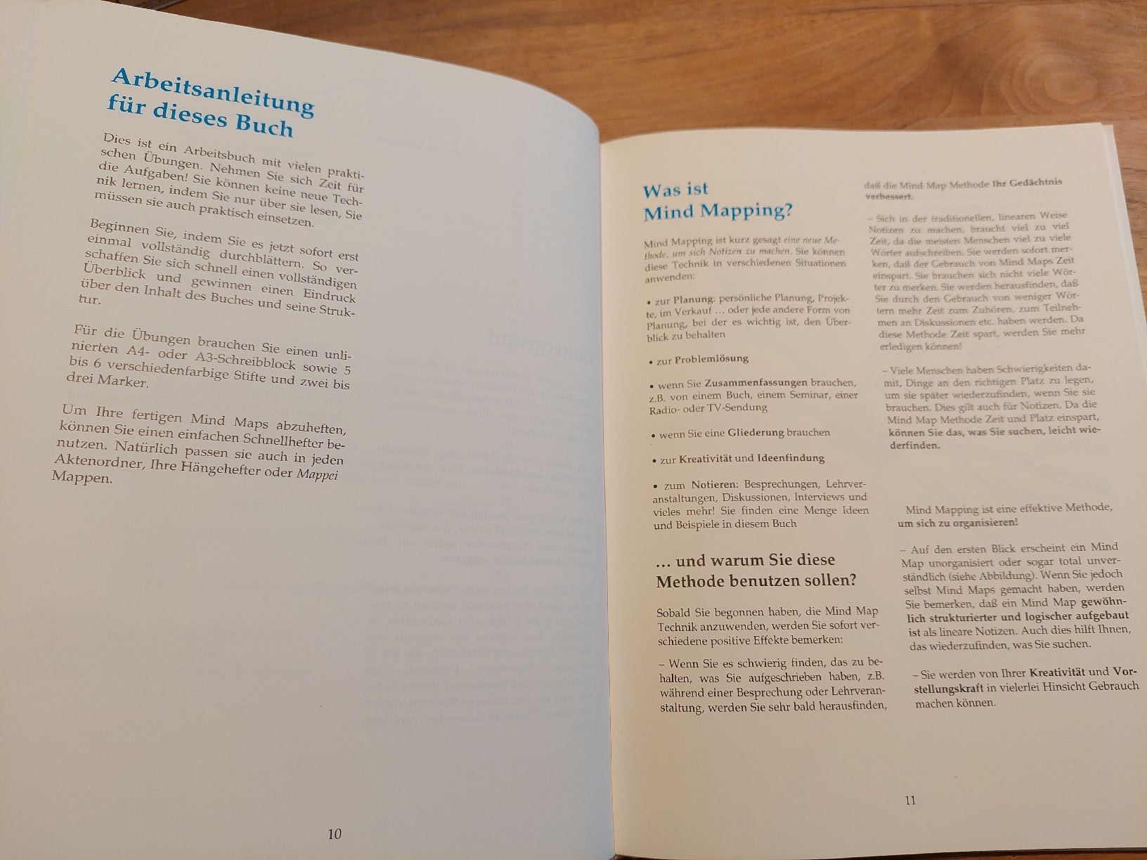 Libri: Mind Mapping und Gedächtnistraining - Top Zustand! – Usato da Brunnen venduto da Livianda 4
