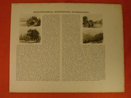 RINGGENBERG, UNSPUNNEN, INTERLAKEN