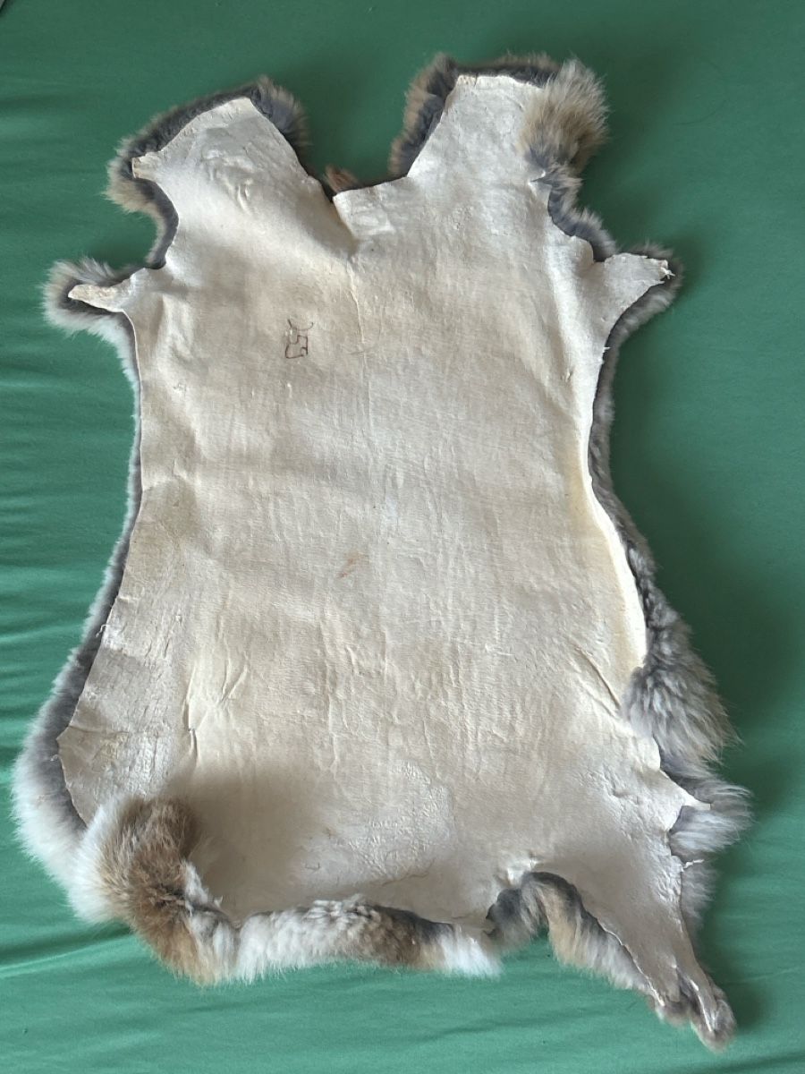 Tapis: Fellteppich Hase (I7) – D'occasion à Aarau par bro_9zsg 1