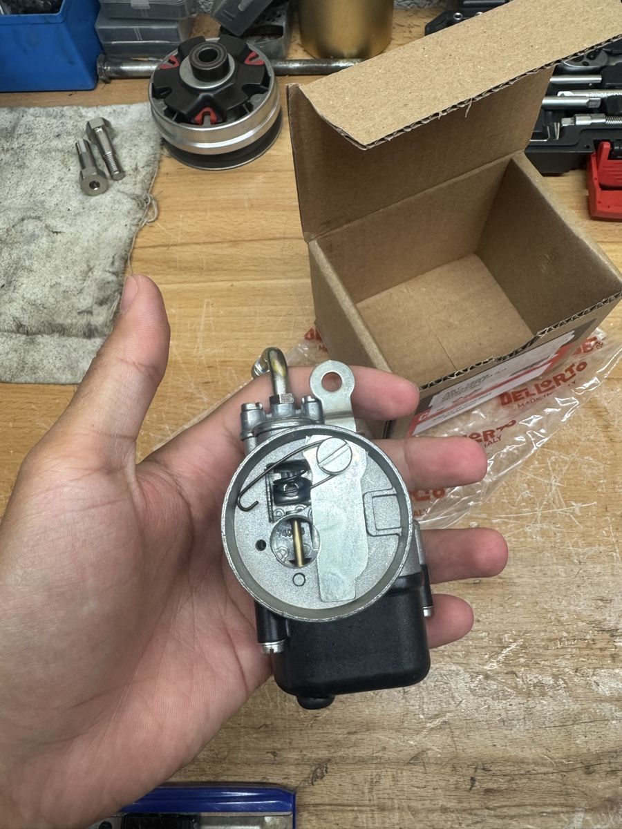 Ciclomotori: Piaggio Ciao Dellorto 13/13 Neu – Nuovo e nell'imballaggio originale da Siglistorf venduto da vrum_98 1