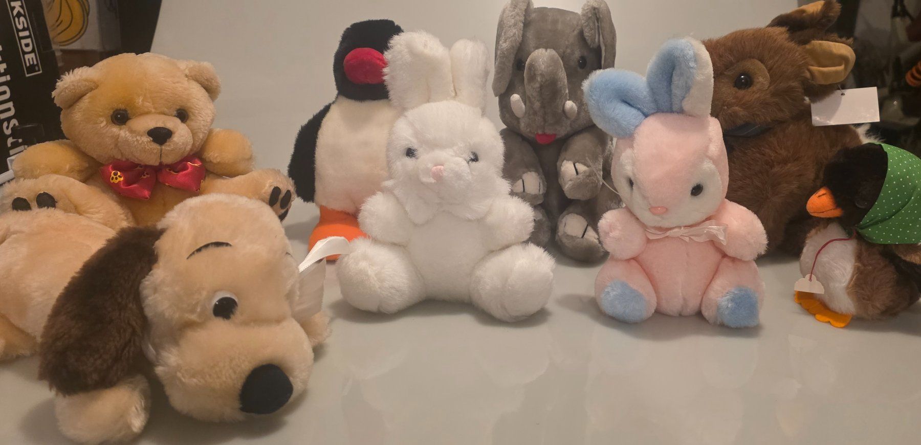Giocattoli: 8 Peluches Animaux – Usato da Jouxtens-Mézery venduto da ger_hpd5