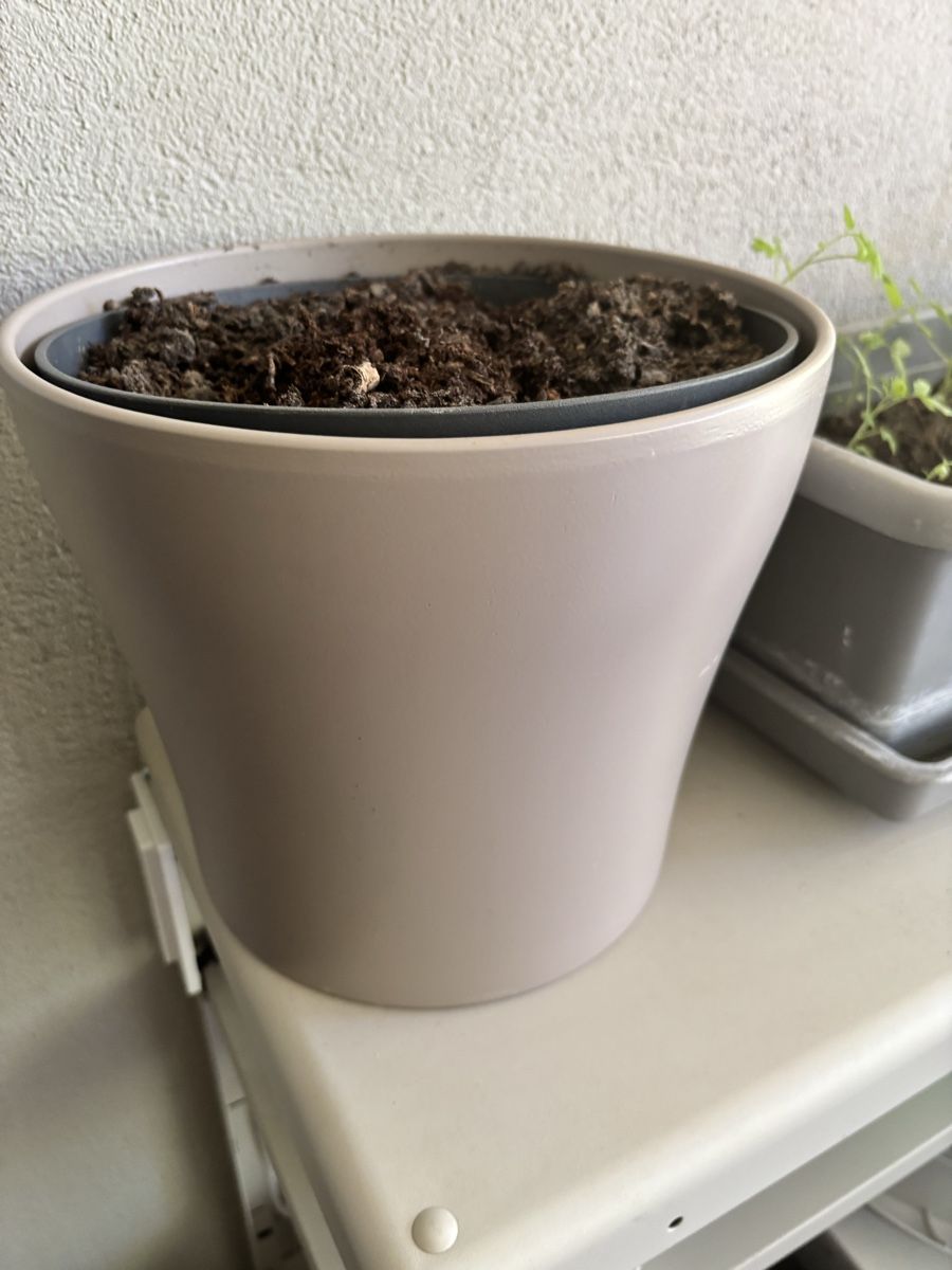 Vasi per fiori: White Plant Pot Good Condition 25cm Diameter – Usato da Zürich venduto da O.Bond