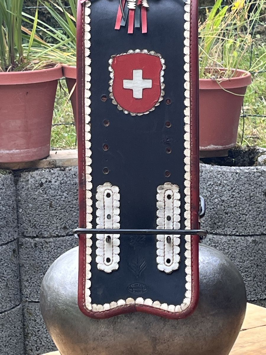 Morier Campanacci mucche: Neuwertige Morier Treichel  – Usato da Wasen im Emmental venduto da weh_qg2d 8