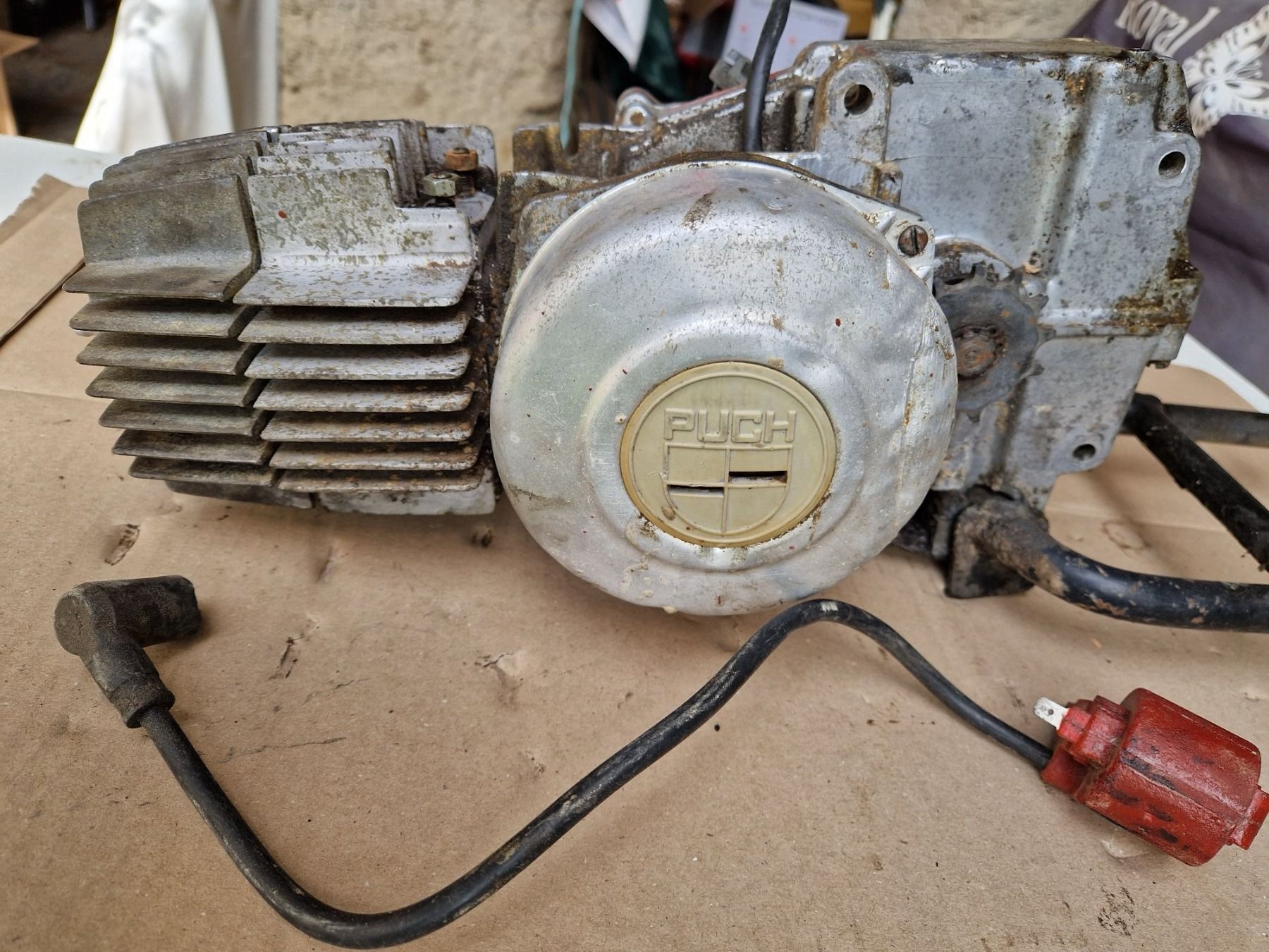 Puch Mofas: Motore Puch con cilindro originale Austria – Gebraucht aus Breno von