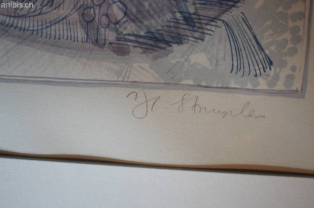 Grafica & Litografie: sign. Lithographie von Hans Rudolf Strupler – Usato da Zürich venduto da axolottchen 4