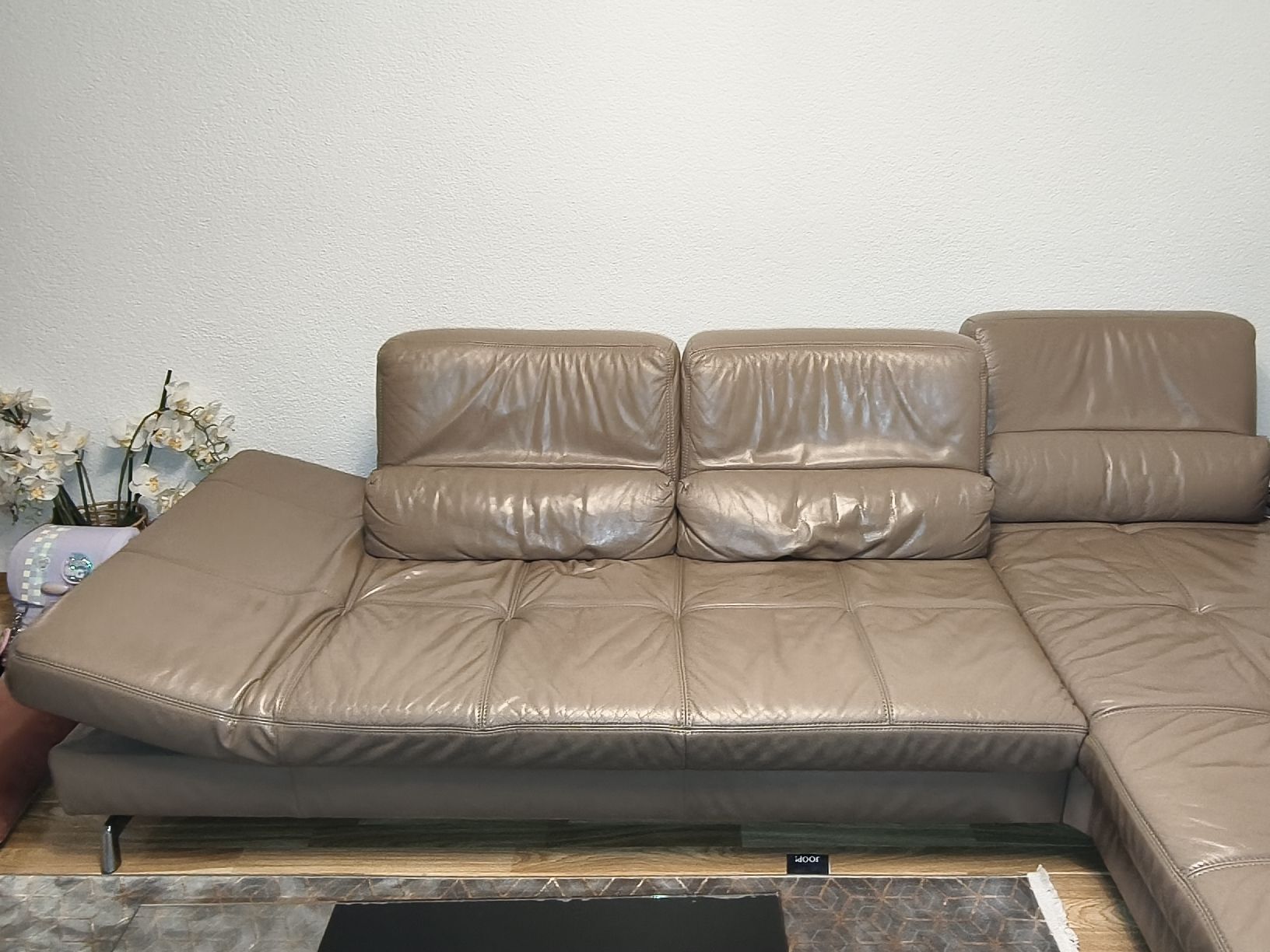 Joop Divani: Joop Sofa – Usato da Zürich venduto da Fudo 2