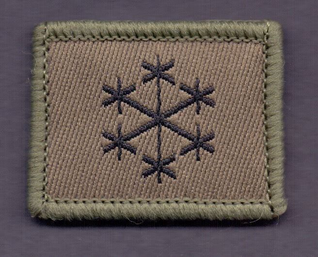 Placchette & Badge: Artilleriewettersoldat – Usato da Koblenz venduto da Himmelsreiter